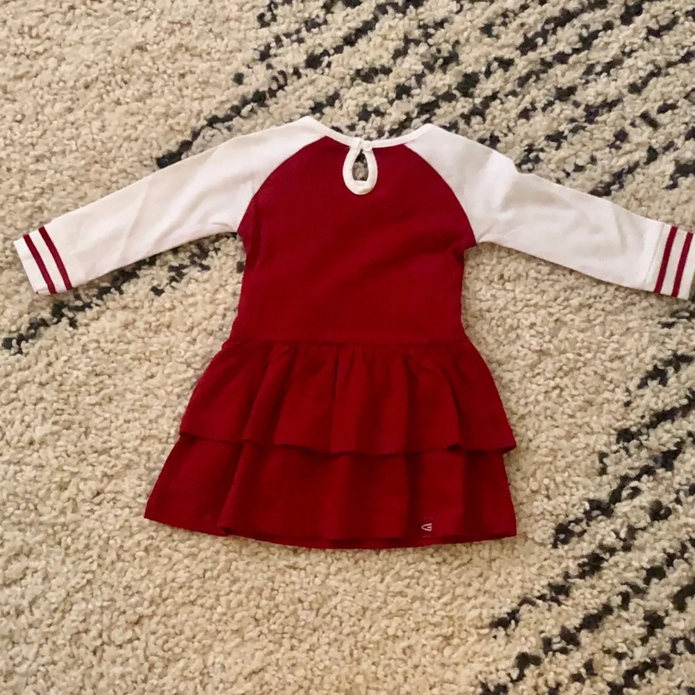 Florida State Dress - Picture 3 of 4